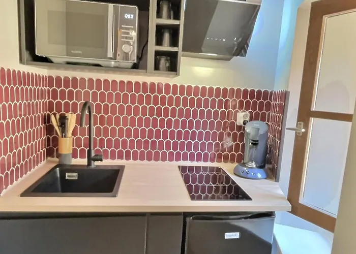 La Cour Des Secrets- Hyper Centre * Albi